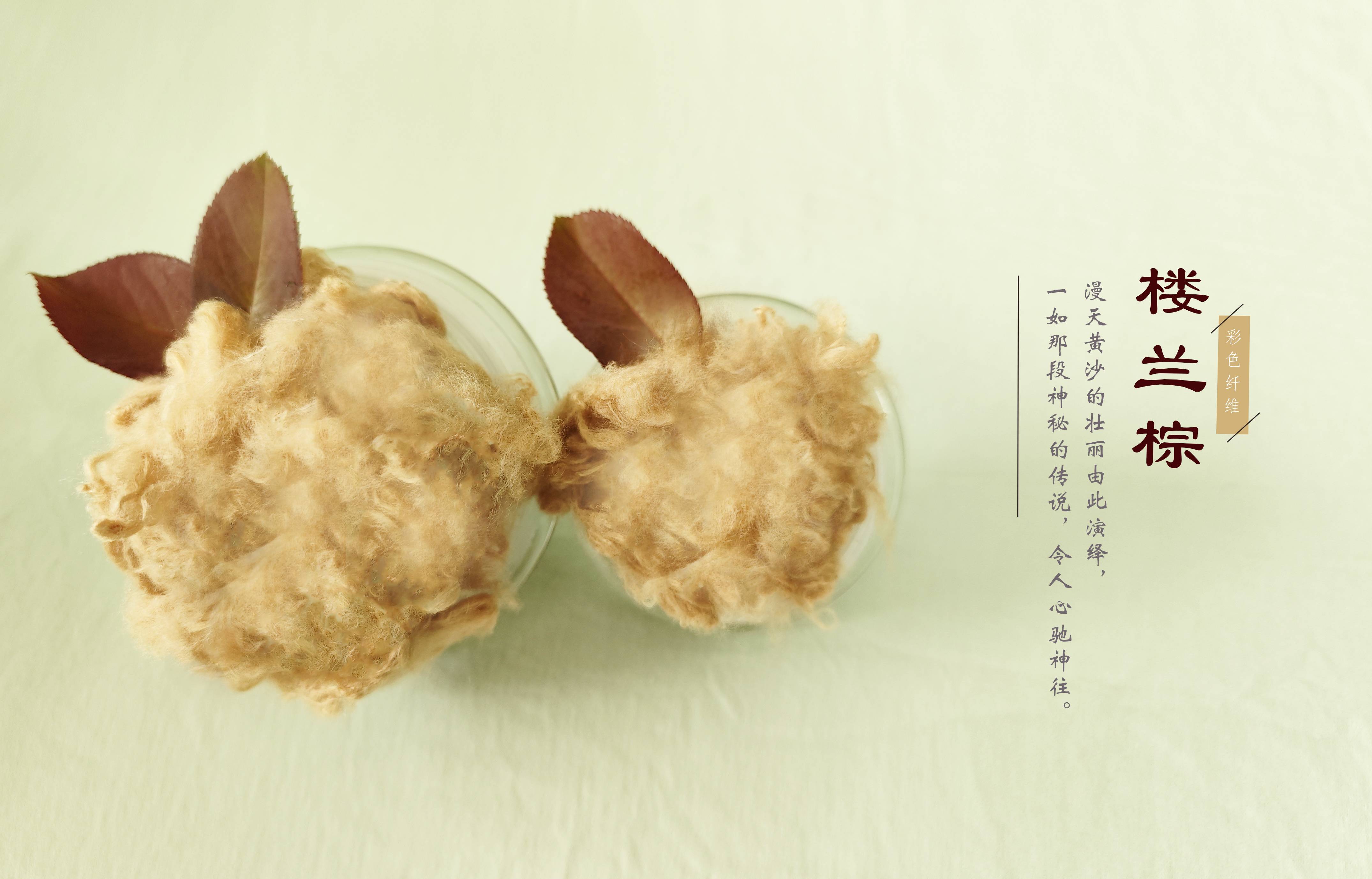 28圈-28圈官方网站-相信品牌的力量